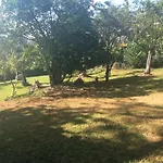 June Plum Bed And Breakfast