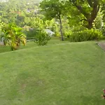 Hill Top Kingston Jamaica