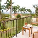 Bird Eye View