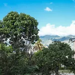 Angel\'S Apartment Jamaica