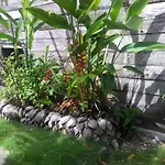 Port Antonio Brian\'S Beach House