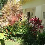 Paradise Tropical Spice - Runaway Bay