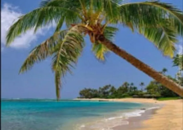 24 Edwards Ave ,Runaway Bay Jamaica Room 6