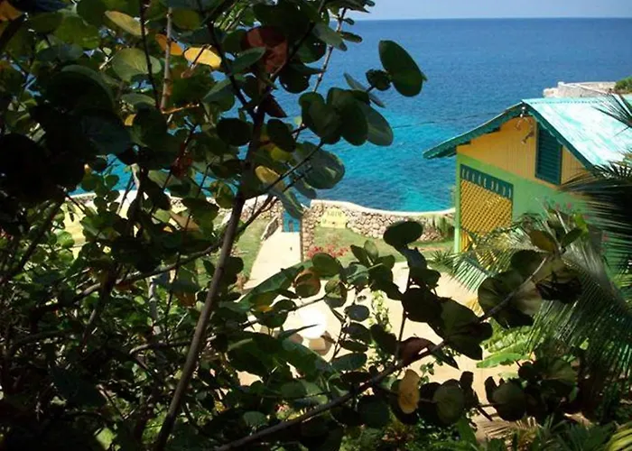 Banana Shout Resort