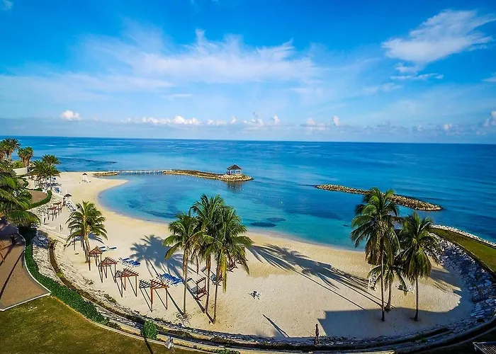 Paradise Found