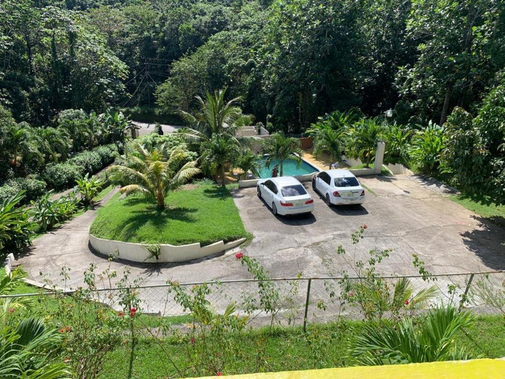 Tha Lagoon Spot * Port Antonio