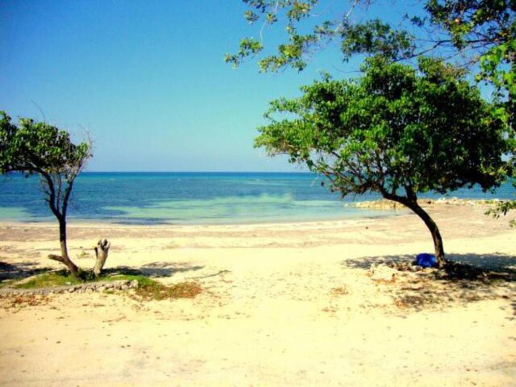 Seacastles By The Beach/pool * Montego Bay