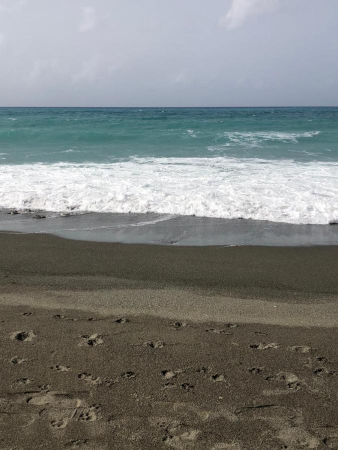 Scarlett Bull Bay