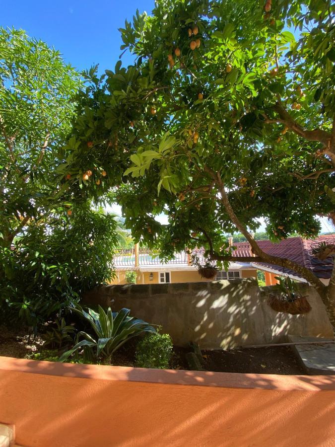 Holiday park Mobay Vacation Village