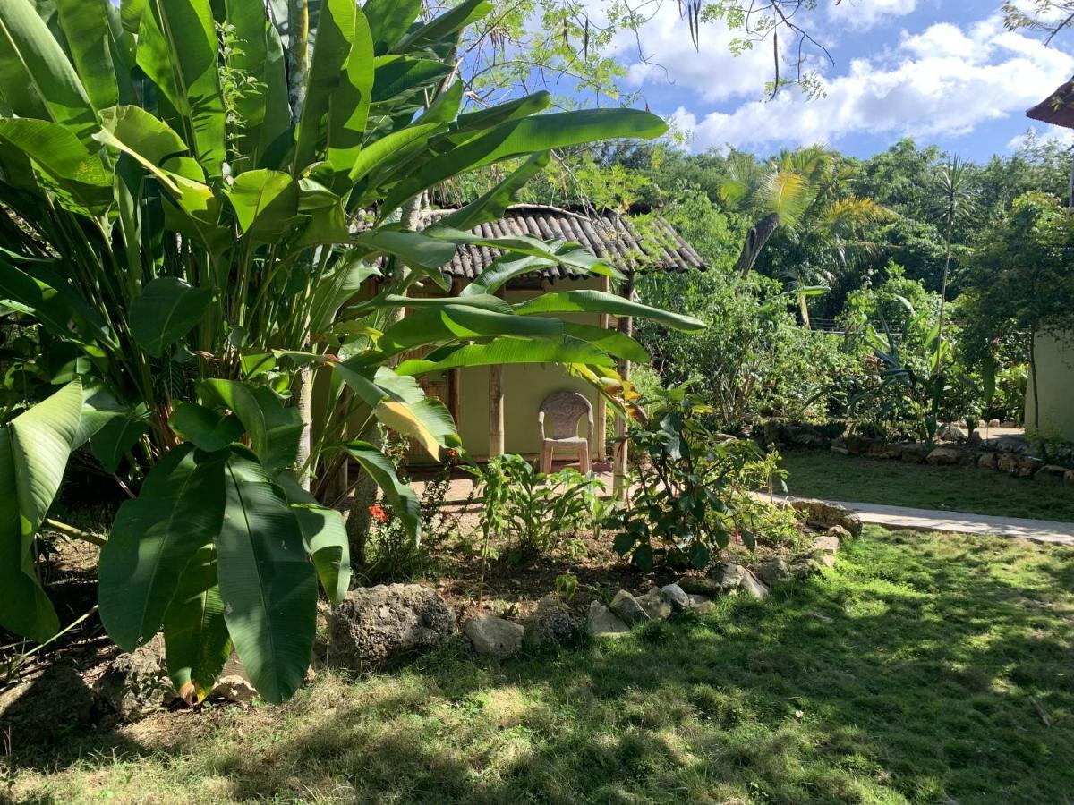 Jam Retreat Bed & Breakfast