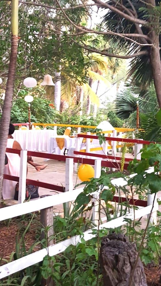 Hotel Treasure 3*