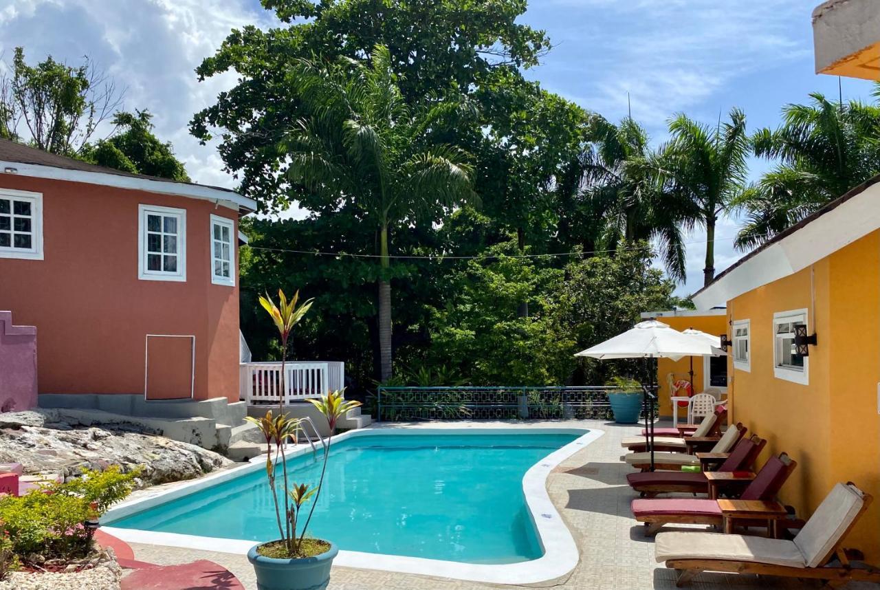 Frühstückspension The Blue Orchid Montego Bay