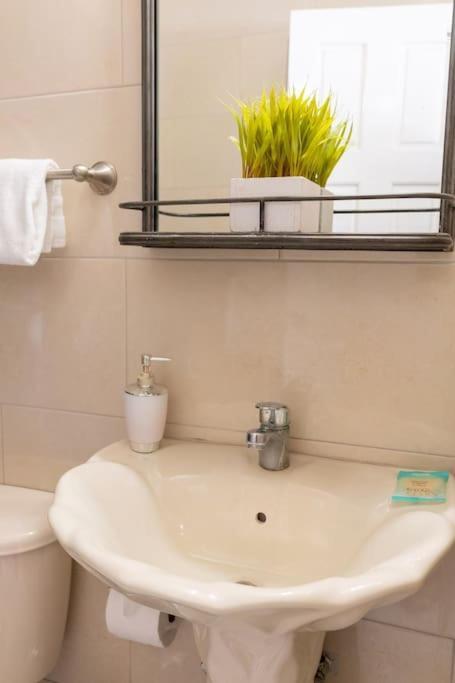 Coastal Bliss -oceanview 2-bedroom In The Heart Of Town *
