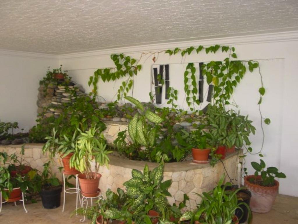 Hill Jamaica Bed & Breakfast 4*