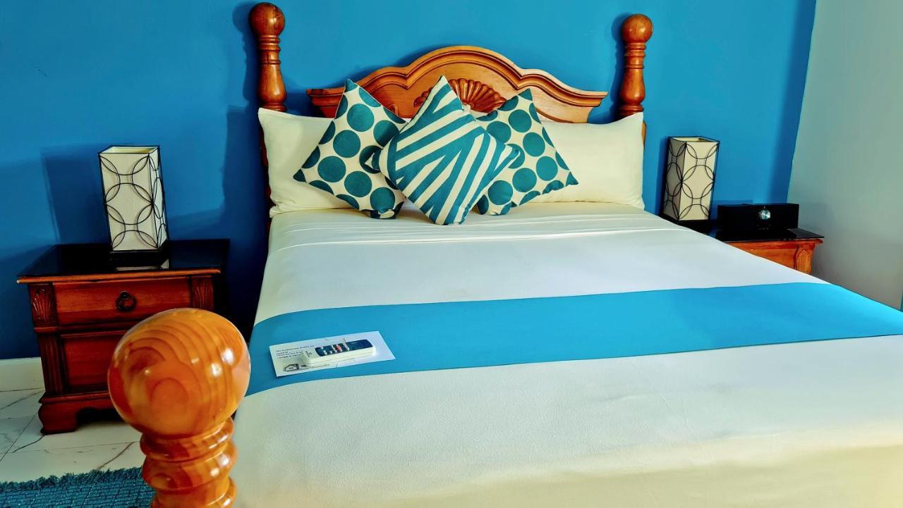 Casa Alexandria Guest Apartment Kingston