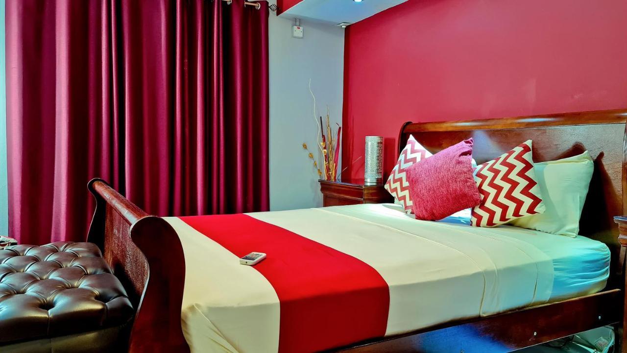 Casa Alexandria Guest Apartment Kingston