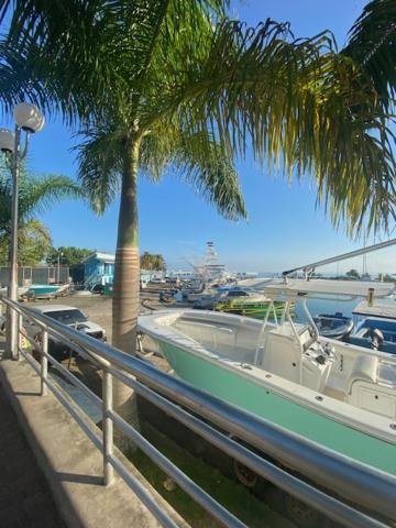 Vacation Resort Ocho Rios