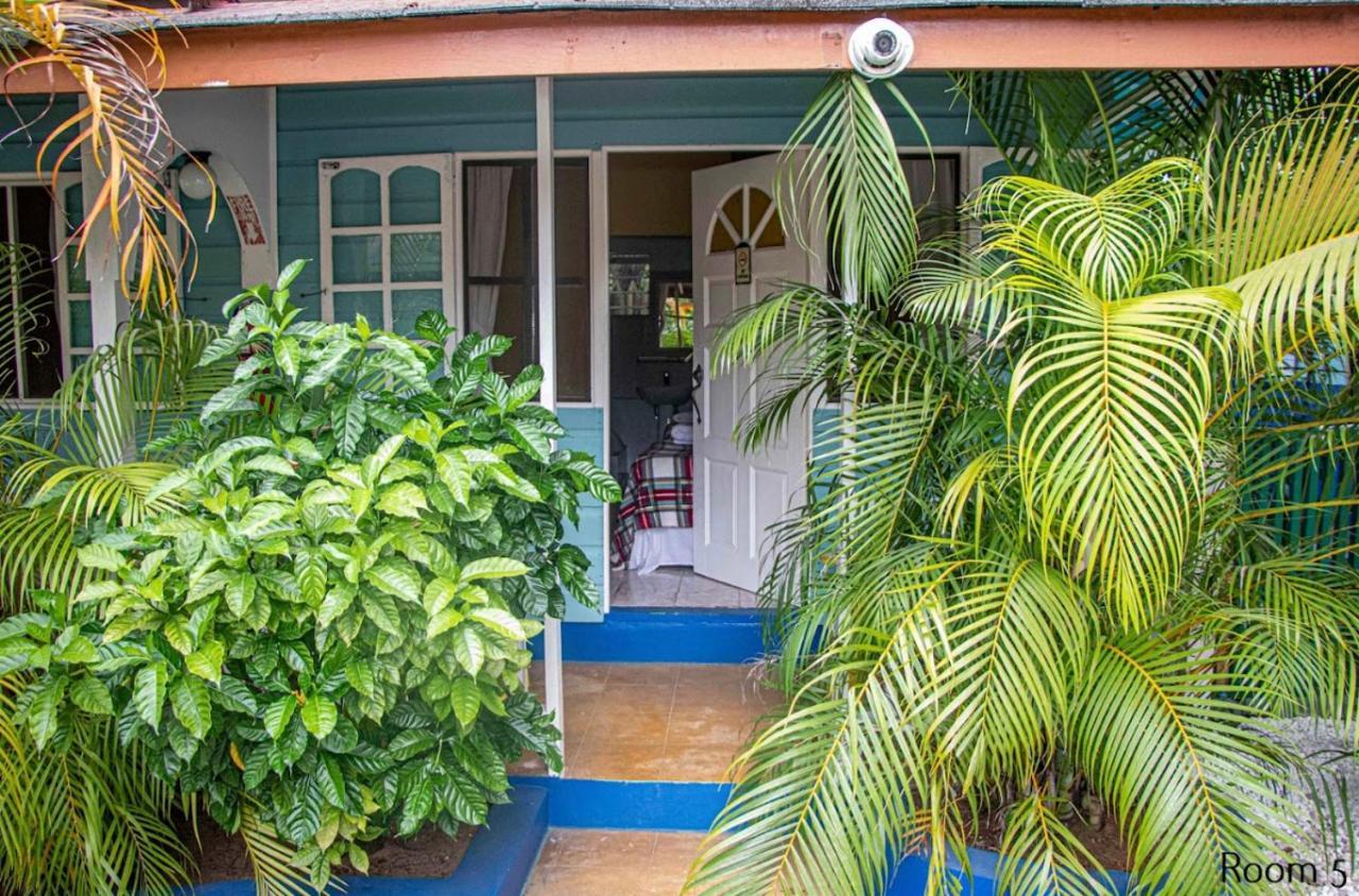 Guest house Mom's Place Negril