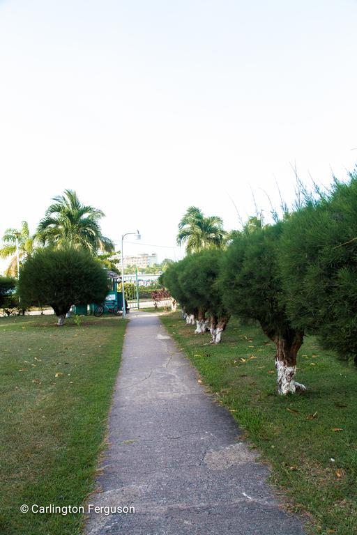 Turtle Towers * Ocho Rios