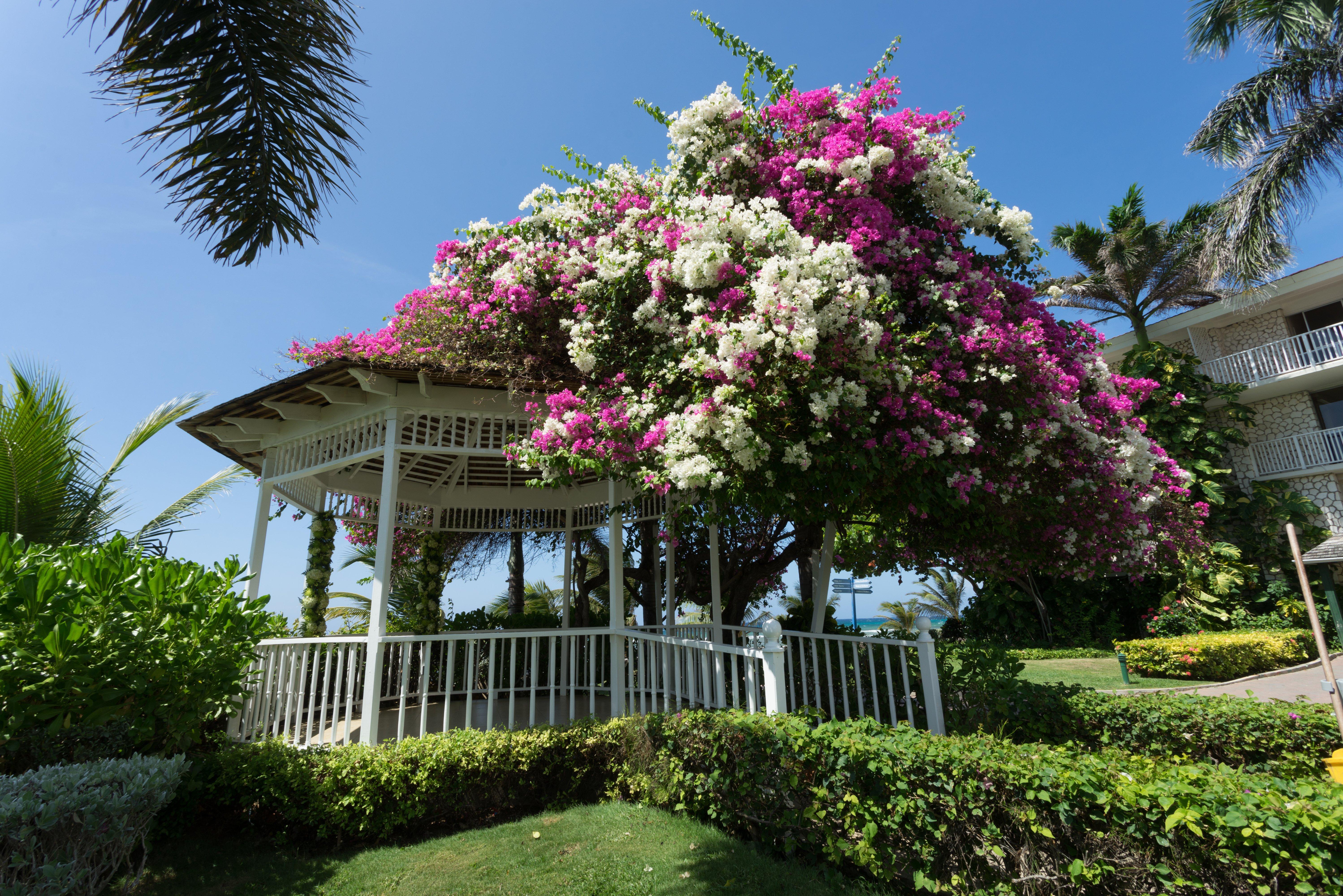 Catalonia 4* Montego Bay