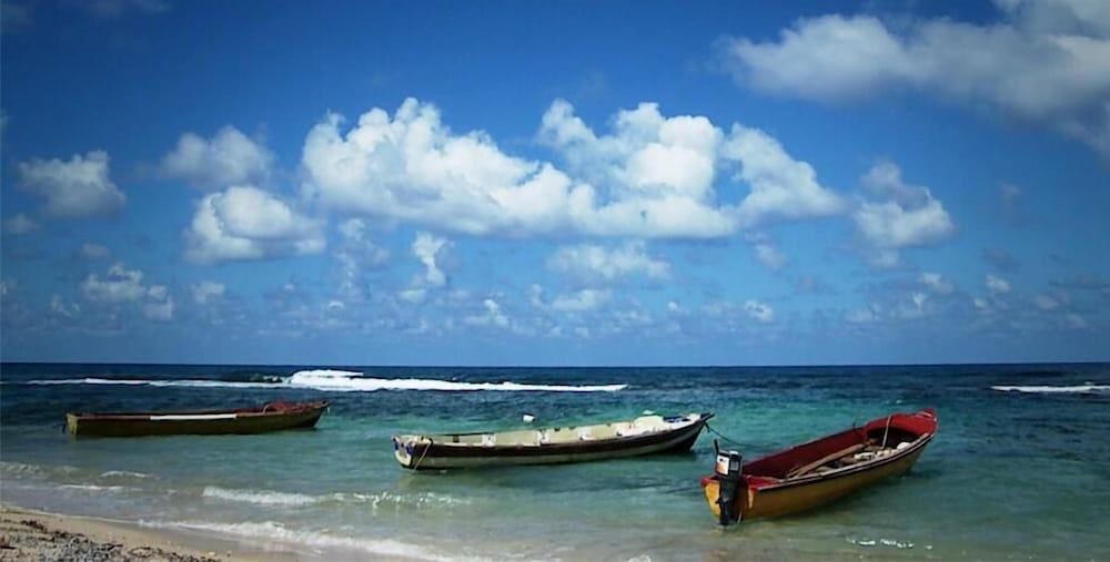 Frenchman's Cove 3* Port Antonio