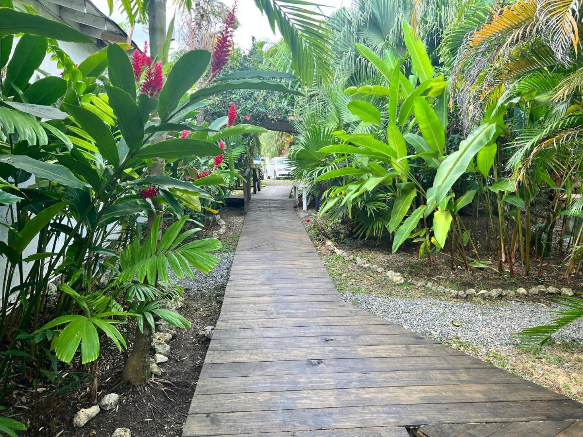 Hotel Jamaica Colors And Eco-retreat Port Antonio