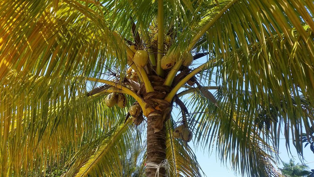 The Retreat @ A Piece Of Paradise * Montego Bay