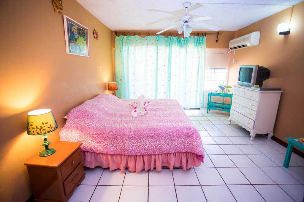 Criss Apartment *