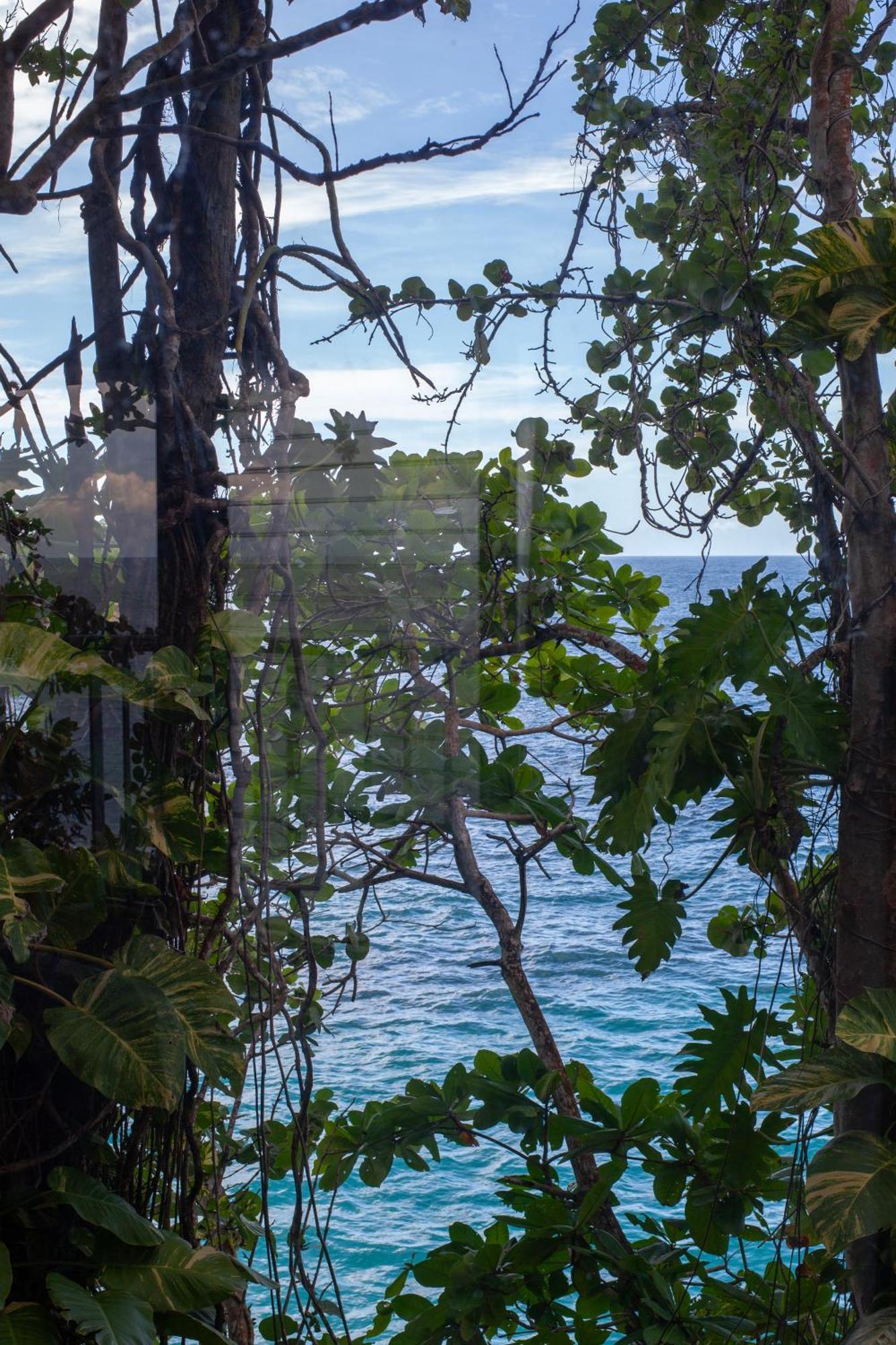 Frenchman's Cove Hotel Port Antonio