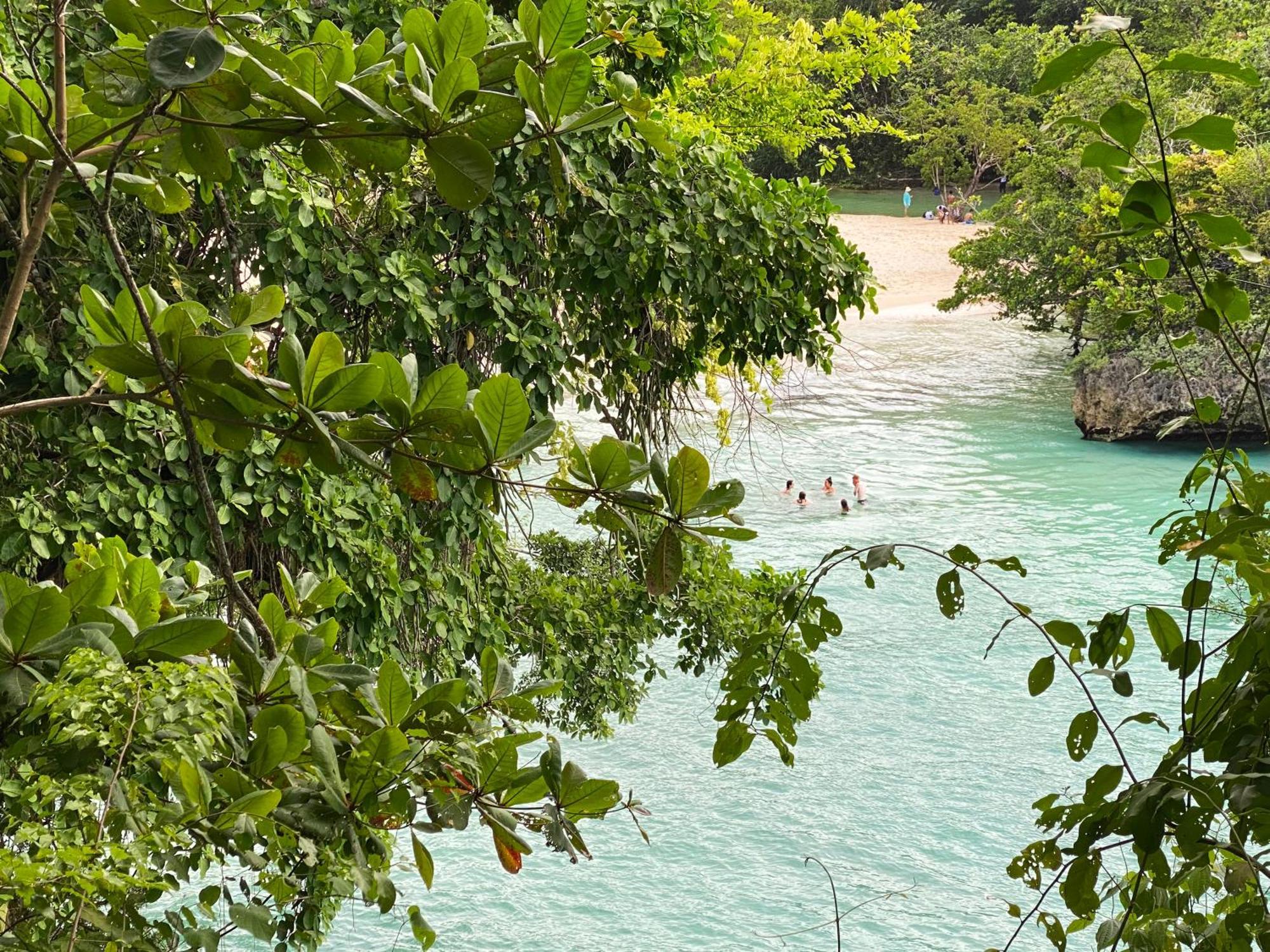 Frenchman's Cove Port Antonio