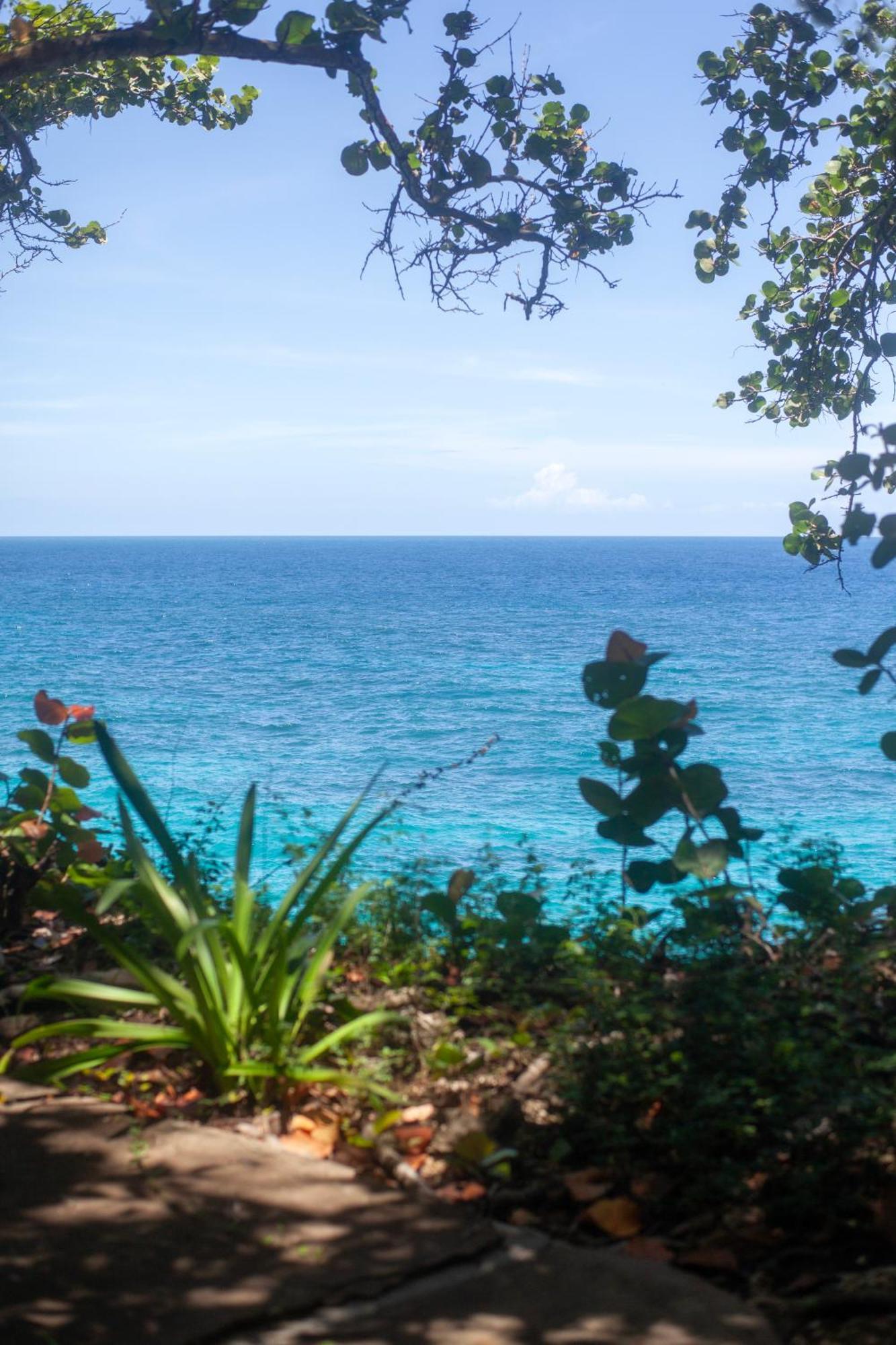 Frenchman's Cove