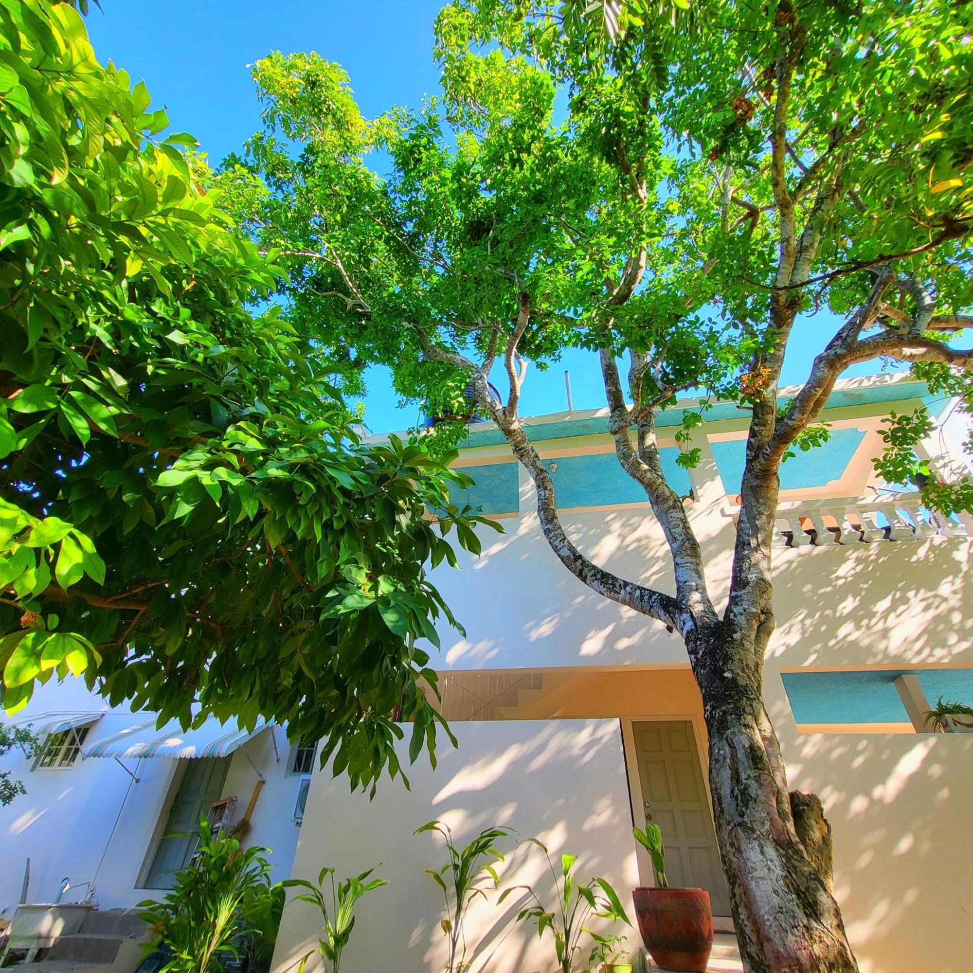Green's Palace Jamaica 3* Oracabessa