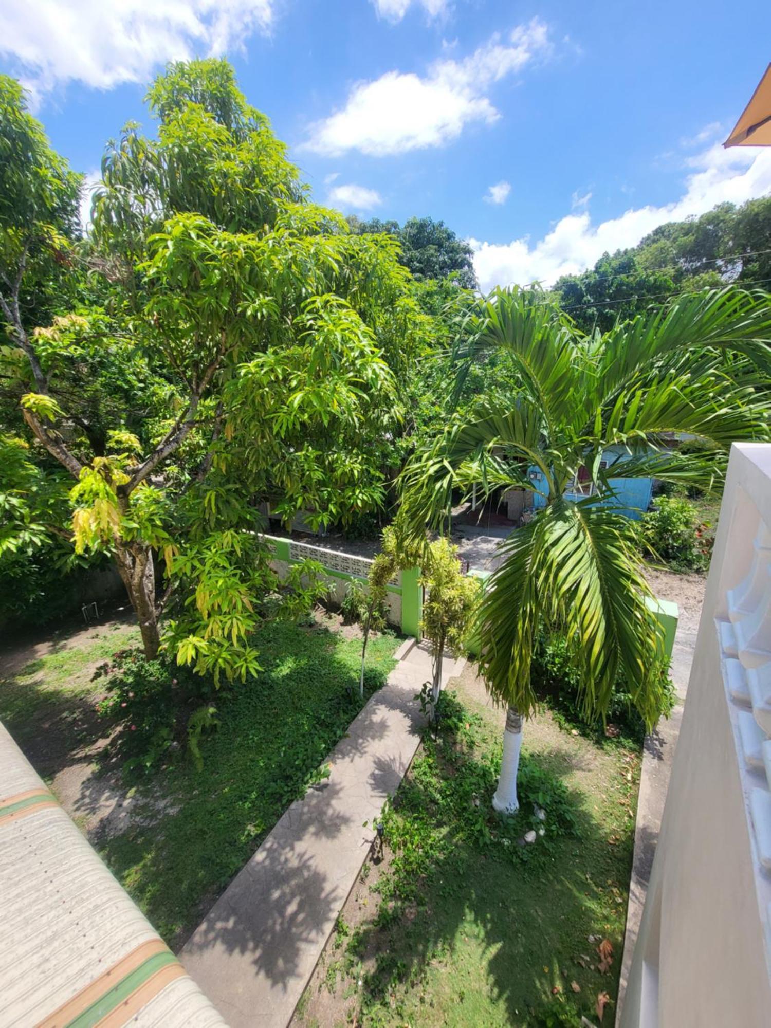 Green's Palace Jamaica Guest house
