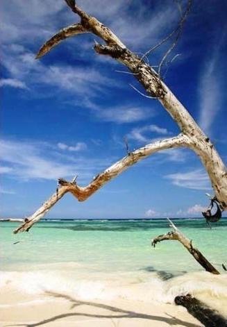 Idyllic Beachfront