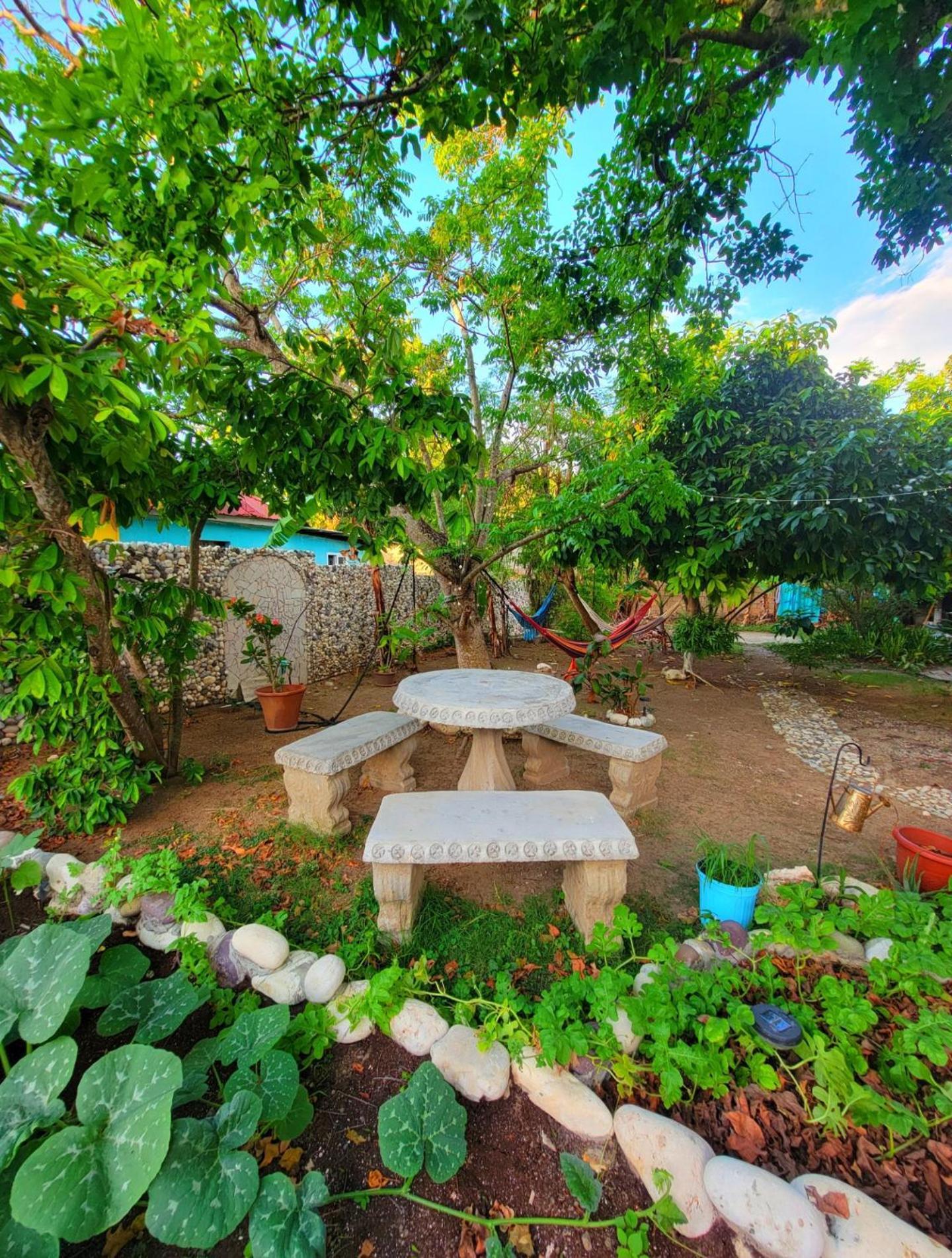 Green's Palace Jamaica Guest house 3*