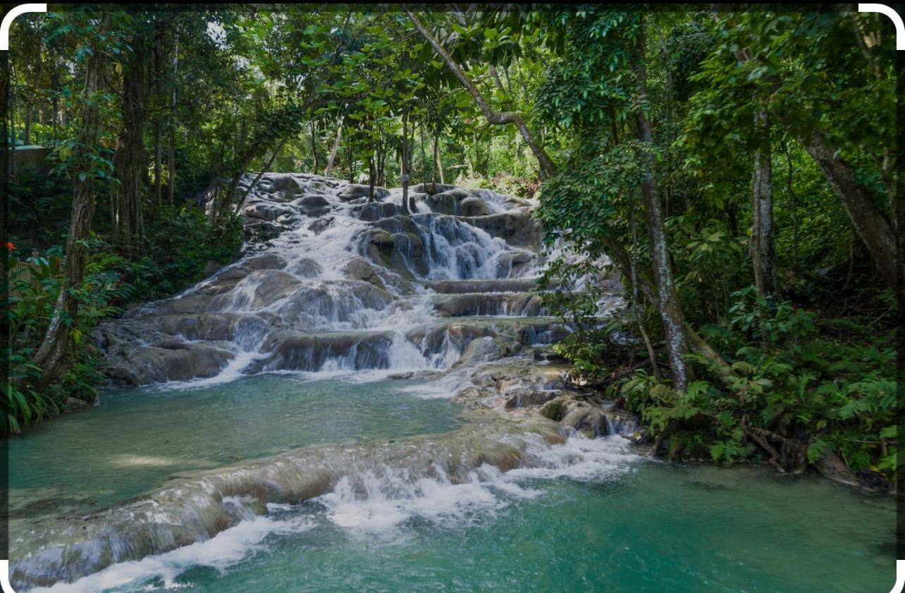 Pru's Paradise Discovery Bay