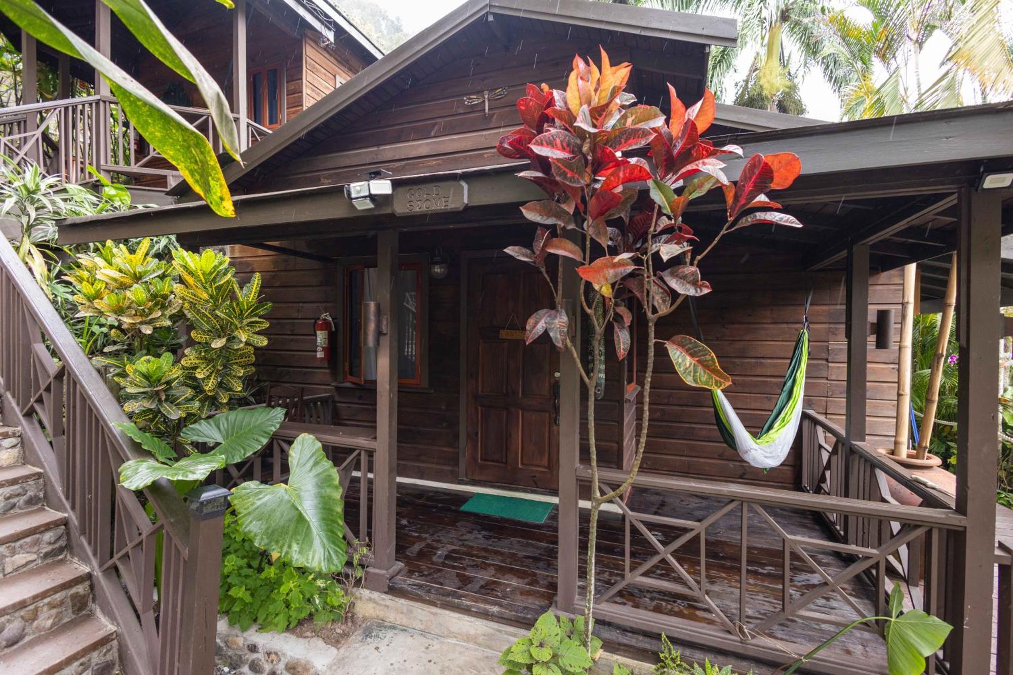 Serendipity Holistic 4* Kingston