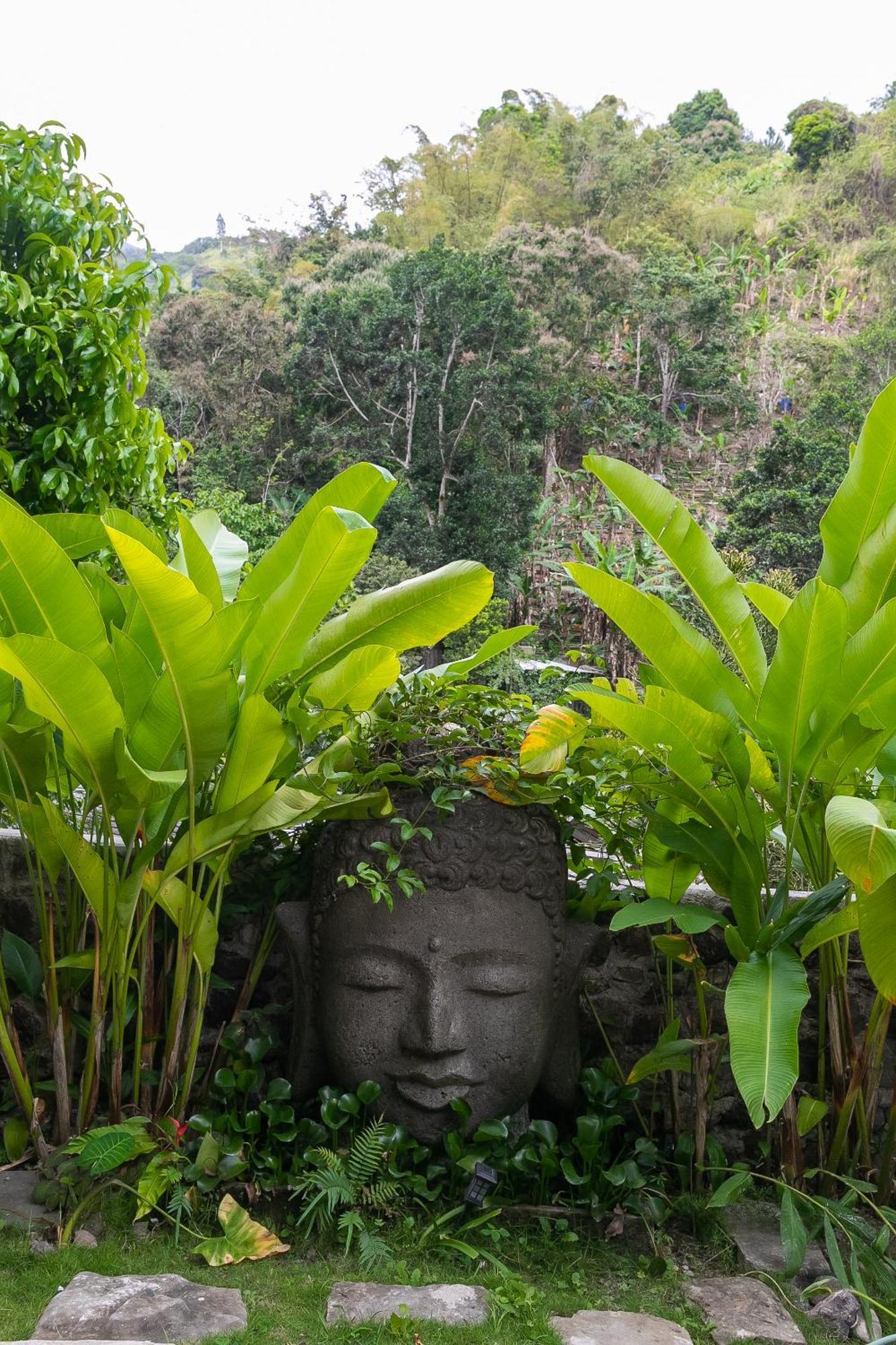 Serendipity Holistic 4*