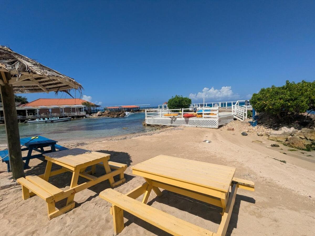 Sojo's Sandy Toes Santuary