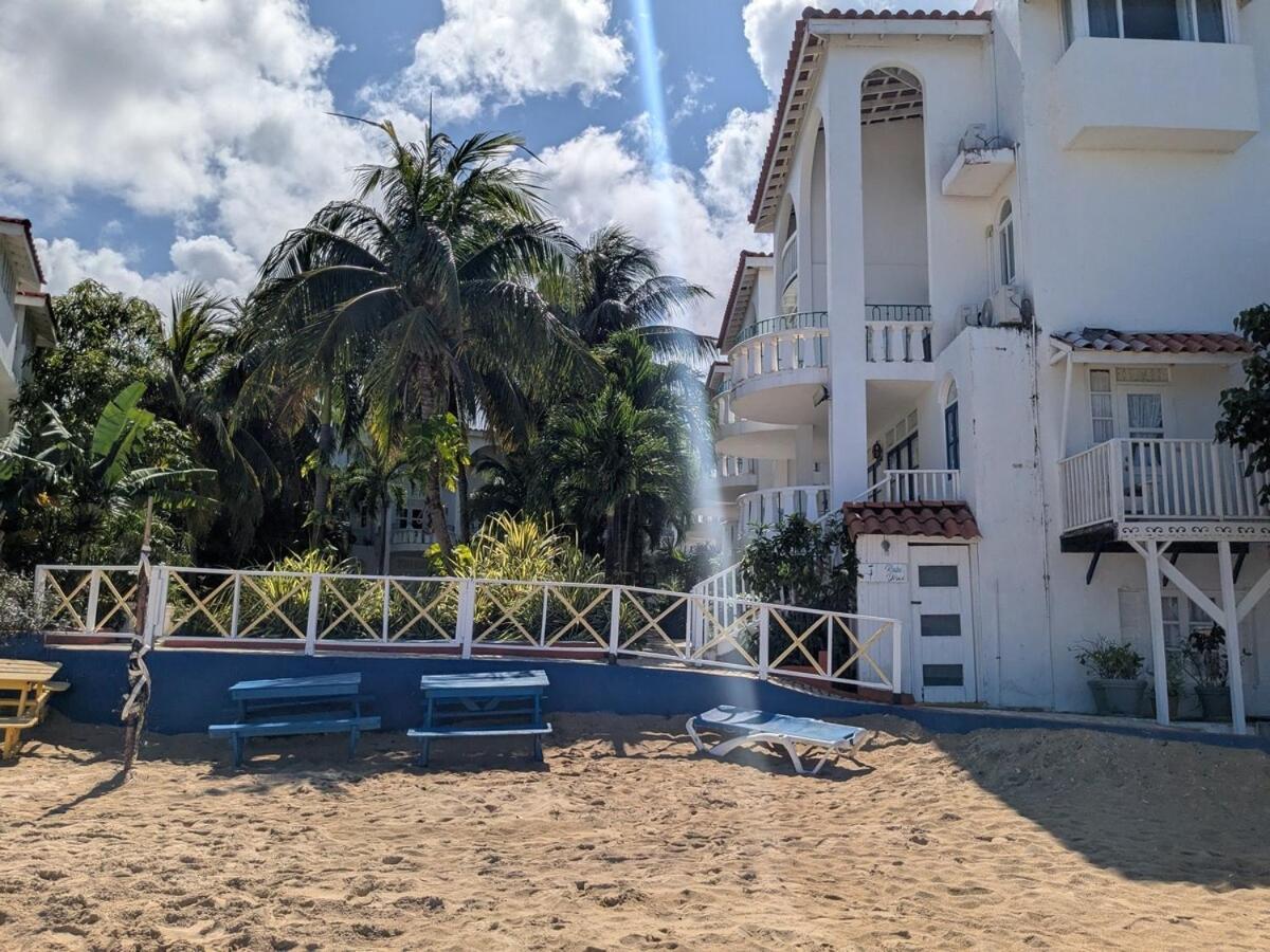 Sojo's Sandy Toes Santuary