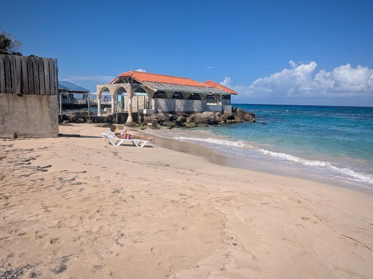 Sojo's Sandy Toes Santuary Runaway Bay