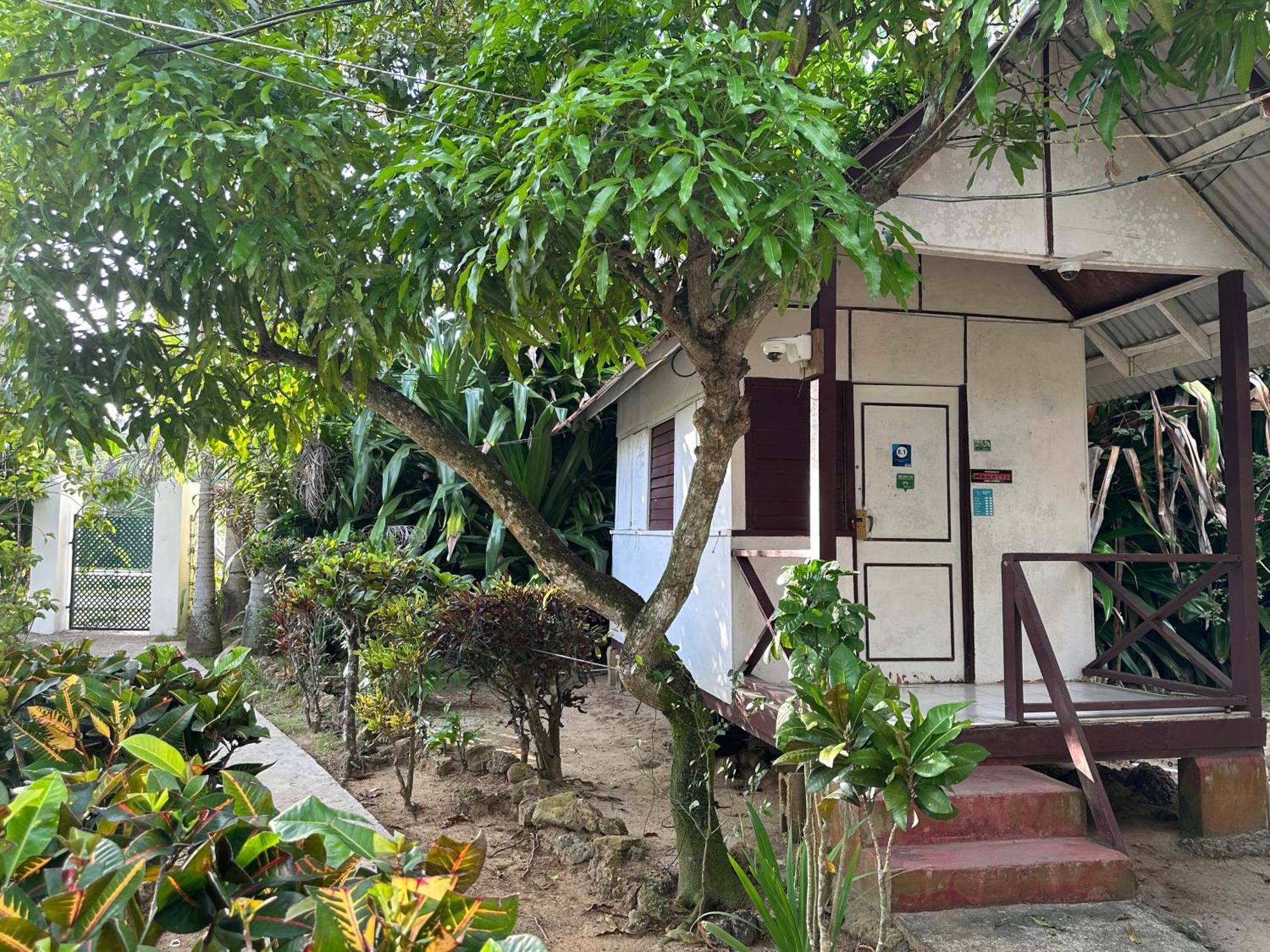 Hotel Yoga Dreams Negril