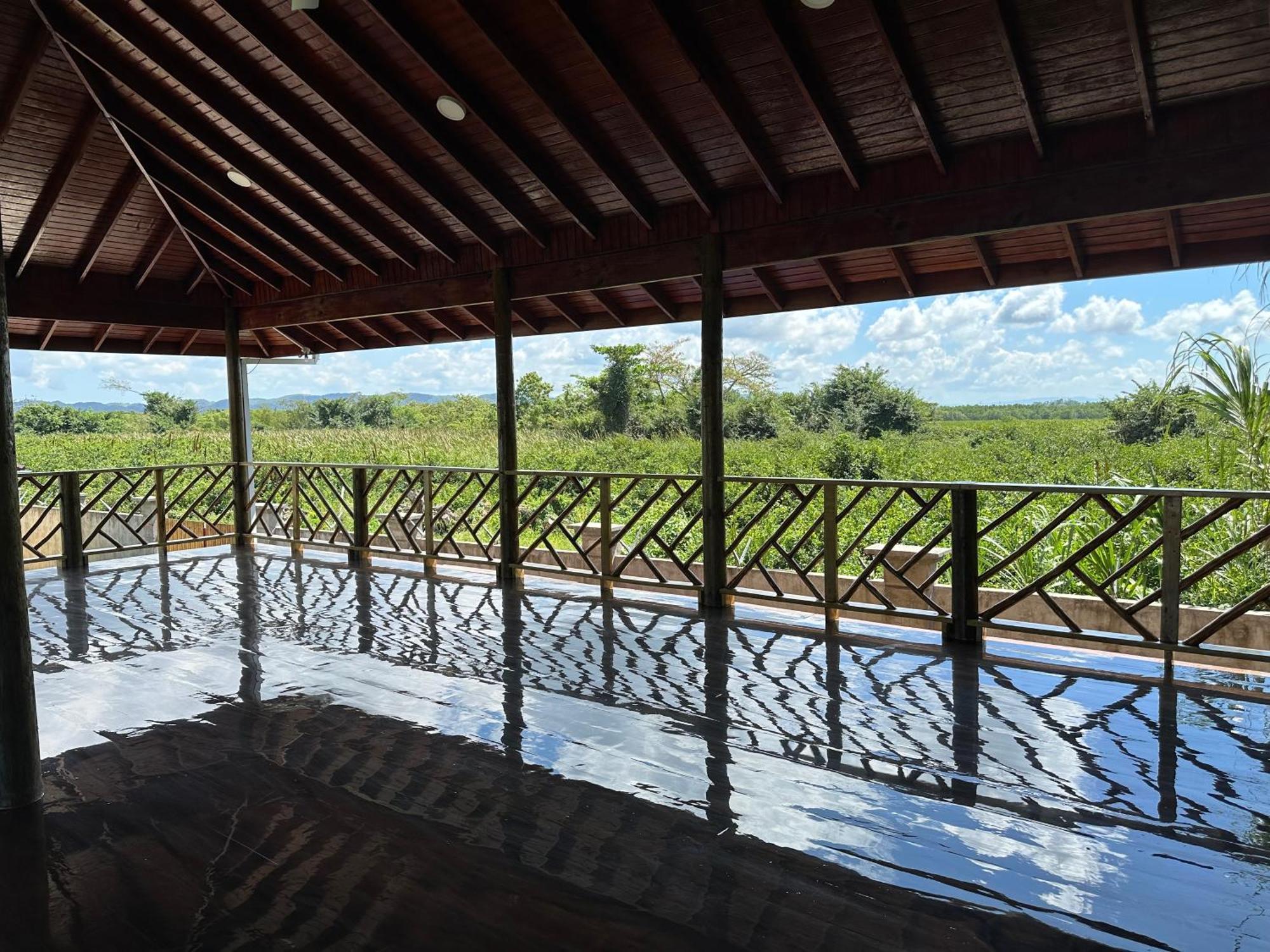 Yoga Dreams Negril