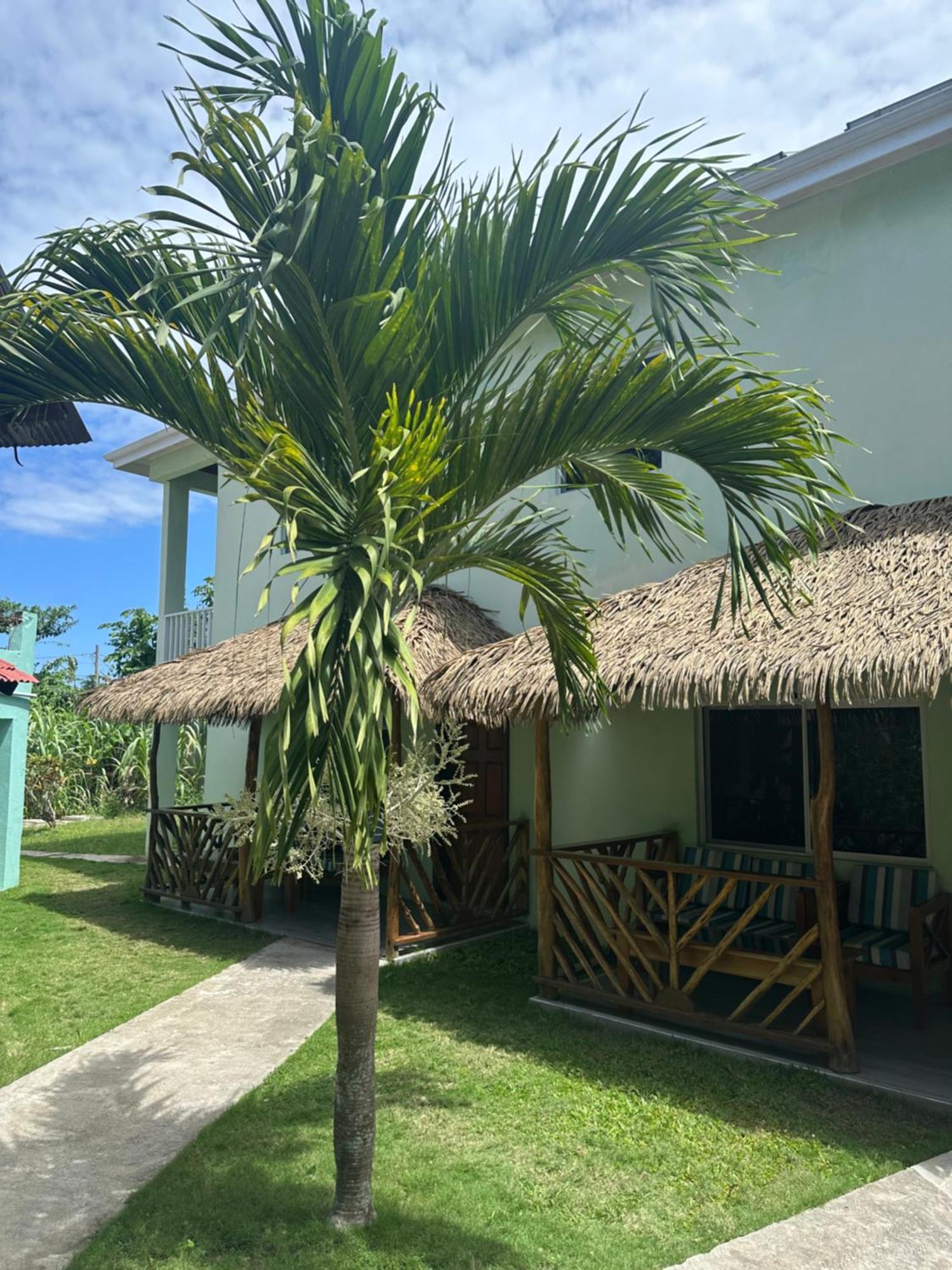 Yoga Dreams Hotel Negril