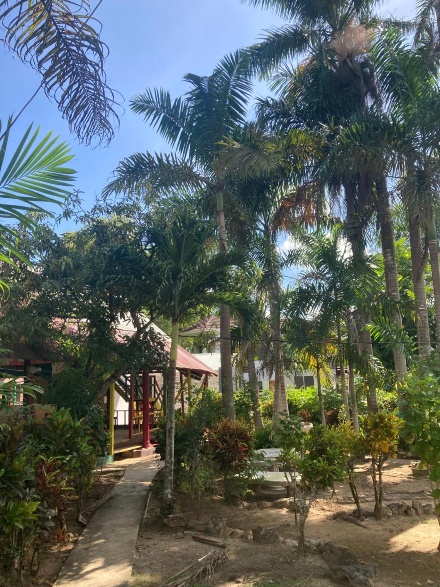 Yoga Dreams Hotel