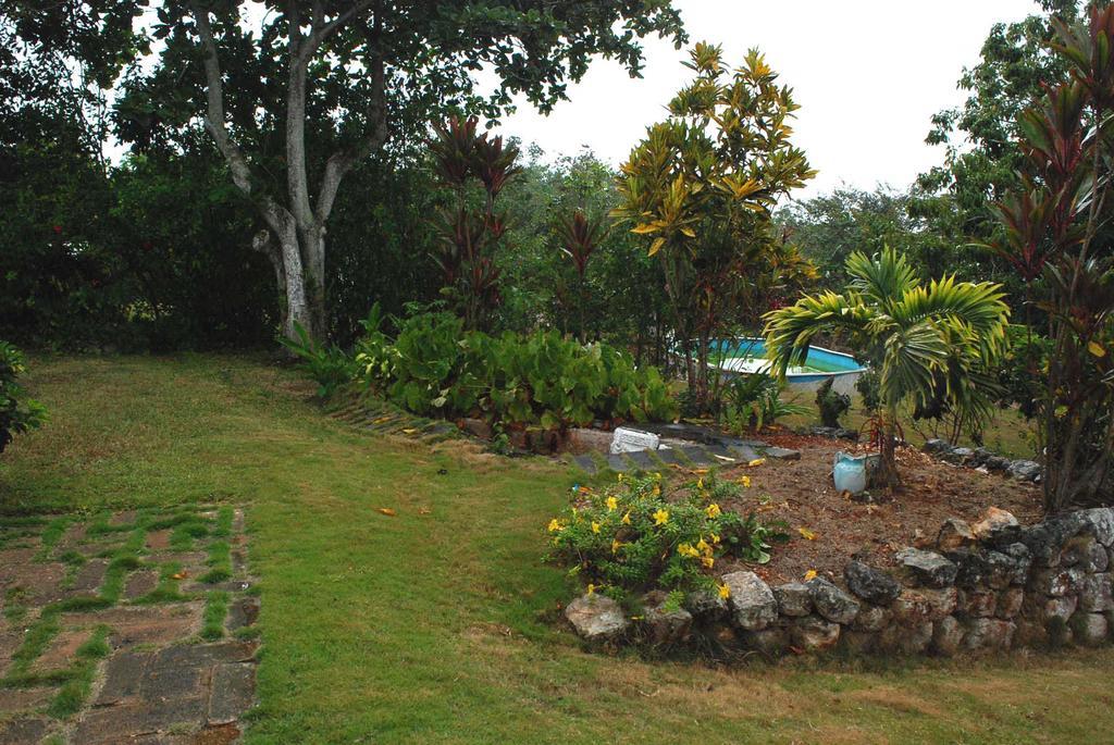 Bed & Breakfast June Plum Mandeville
