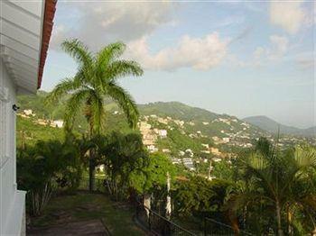 Hill Jamaica Kingston