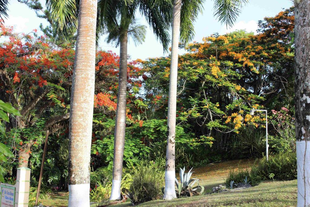 Resort Rio Vista 2*