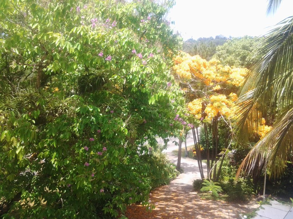 Rio Vista Port Antonio