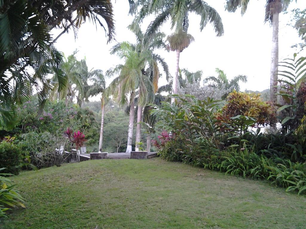 Rio Vista